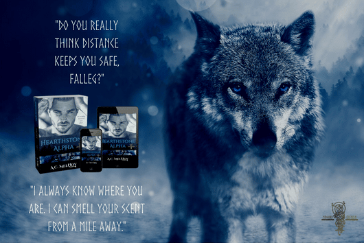 book blurb