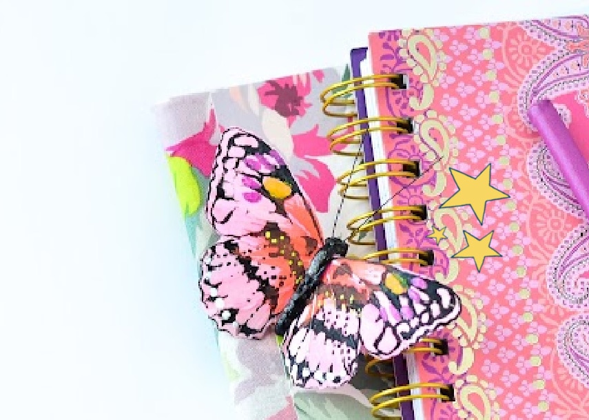 pink notebooks with butterfly