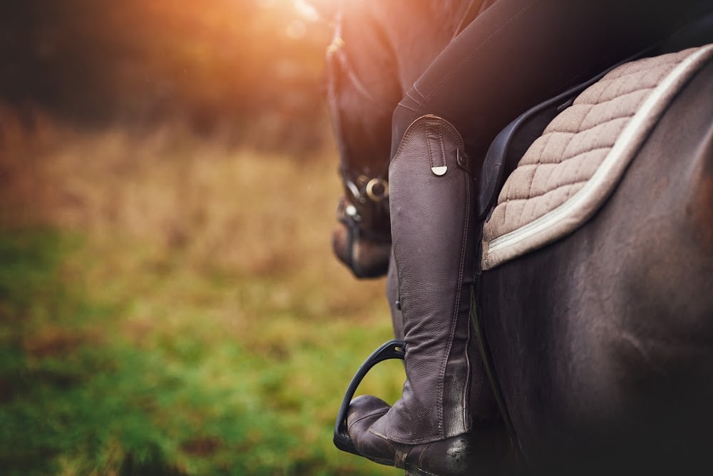 close up of a riders foot in a stirrup of a horse Donna Balon