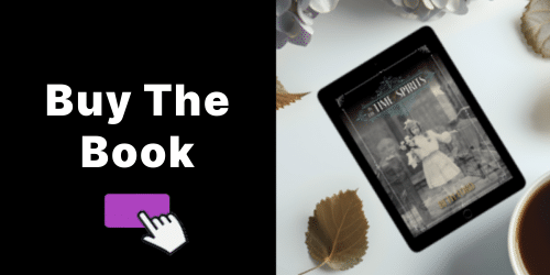 Bu the book banner for in the time of spirits by Beth Ford