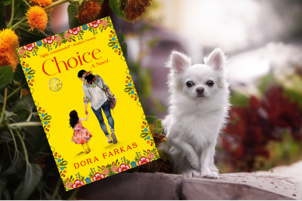 MAya the chihuahua and the book Choice by Dora FArkas