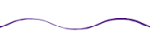 purple wavy line divider
