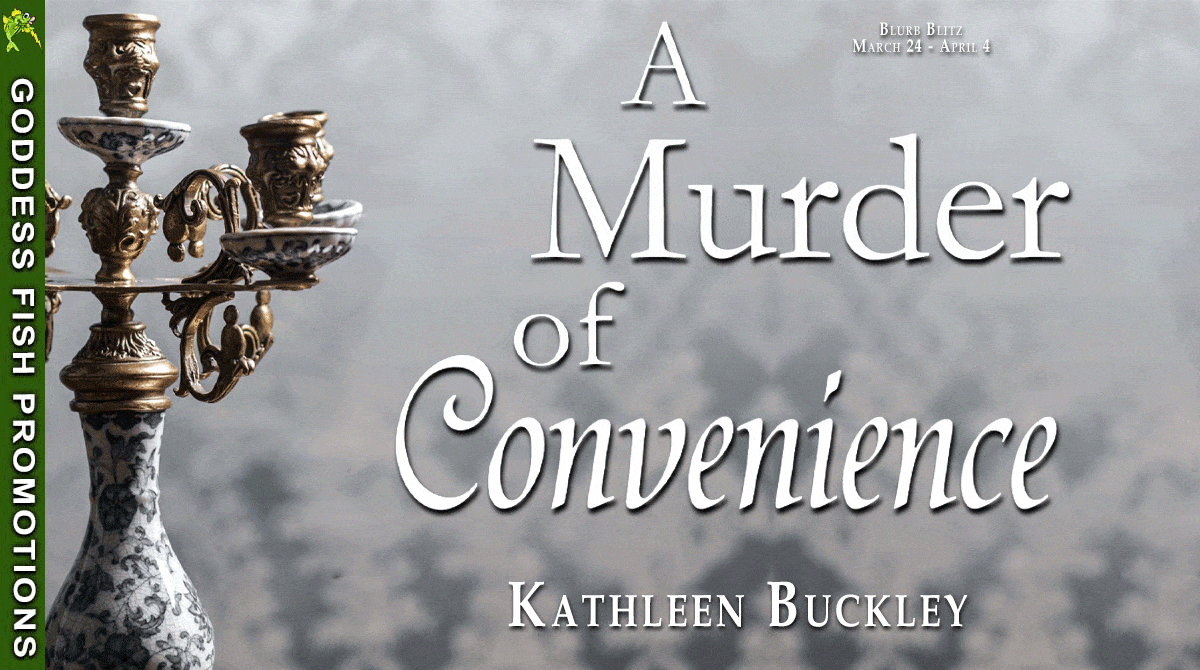 tour banner for a murder of convenience