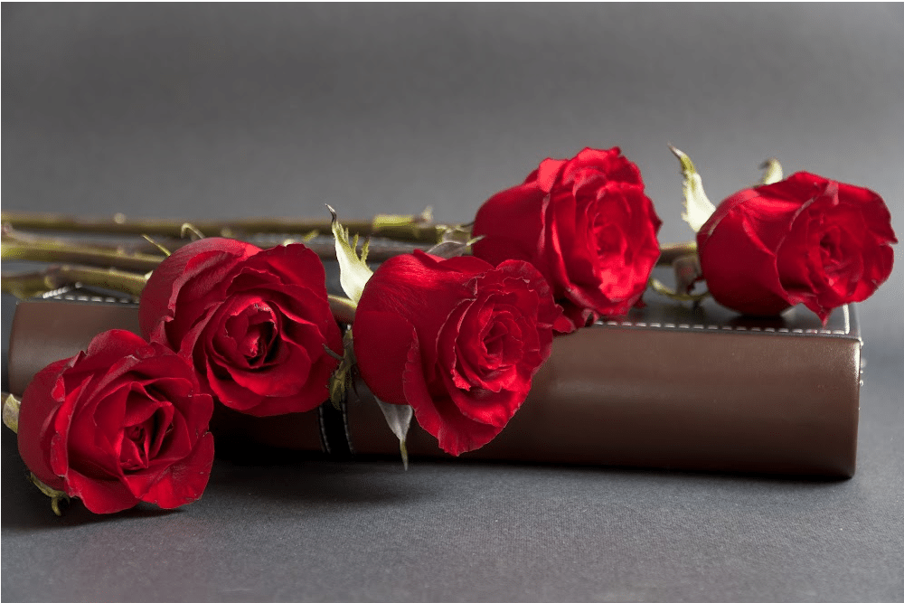 red roses laying on top of a leather writer's notebook